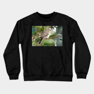 Tweet Crewneck Sweatshirt